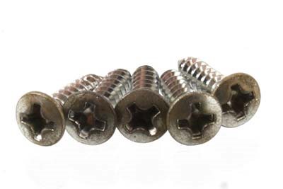 Plektrumskydds skruv aged nickel 