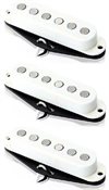 Roswell Strat HOT Quarter Pound QSTA set